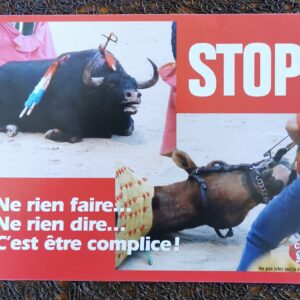 Stop, ne rien faire, ne rien dire, c'est être complice !