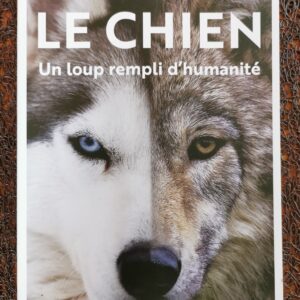 Le chien, un loup rempli d'humanité