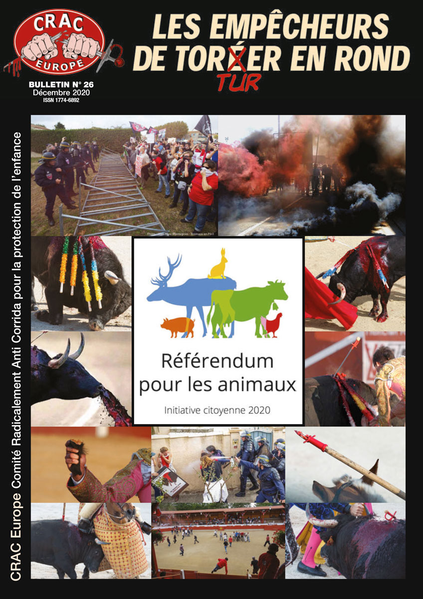 Aperçu du bulletin PDF